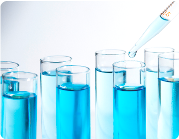 QUIENES SOMOS Calidad 2