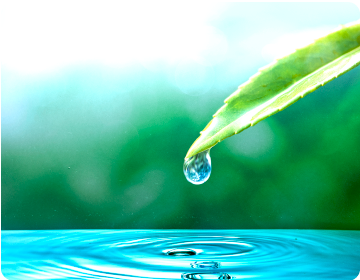 QUIENES SOMOS Sostenibilidad 2